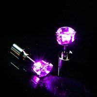 LED Oorbellen Paars (product)