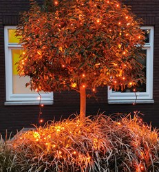 LED-Verlichting Oranje Streng 20m - 200 LEDS