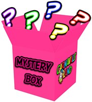 Mystery Box Geslaagd