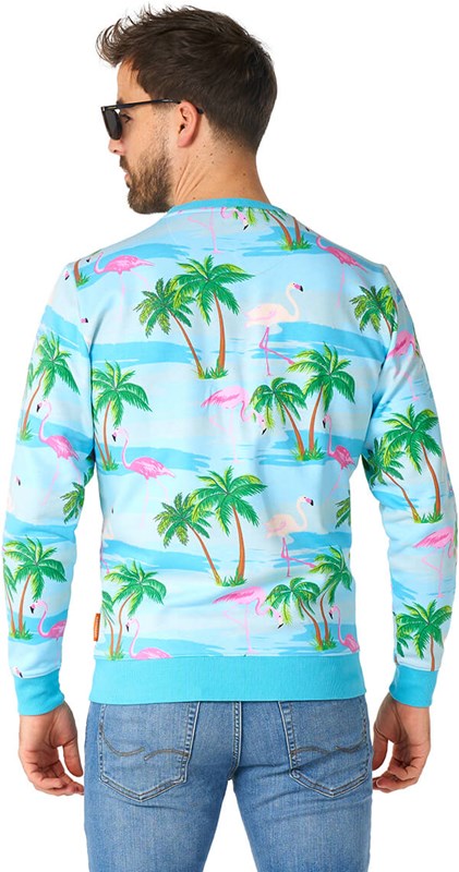 Trui OppoSuits Flaminguy (achterkant)