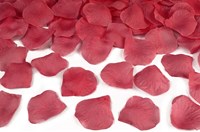 Party Popper Rode Rozenblaadjes - 40cm (blaadjes)