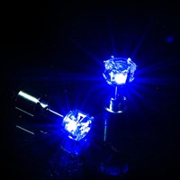 LED Oorbellen Blauw (product)